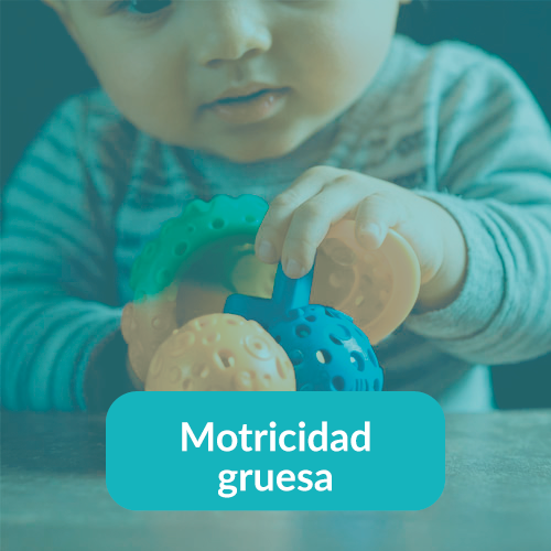 Motricidad Gruesa
